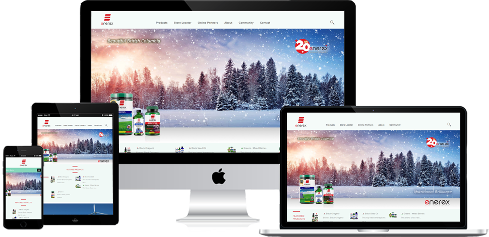 Enerex - Shopify Development